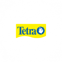 tetra